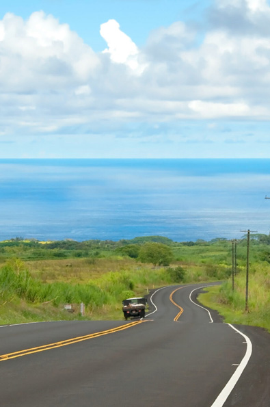Hawaiian Electric Watch